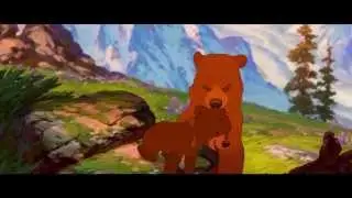 Irmão Urso - Pé na Estrada