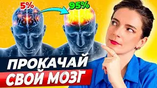 ТРЕНИРОВКА ВНИМАНИЯ || 9 ЭФФЕКТИВНЫХ УПРАЖНЕНИЙ на устойчивость, объем и переключение внимания