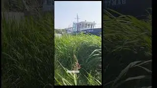 Кузьмич с генералом опять заблудились?