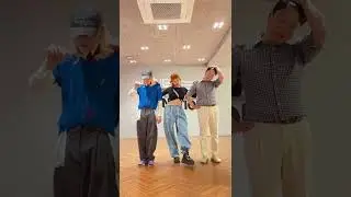 싸이 현아 던이 추는 thatthat