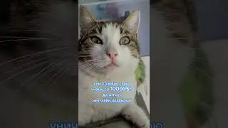 2 ноября 2023 г.