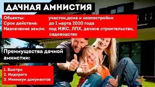 Дачная амнистия!