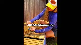 🐝👑 He found the queen bee under his house… and saved the entire hive!