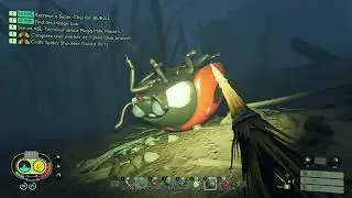 may have angered most of the red ants