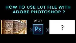 How to use LUTs with Photos in Adobe Photoshop