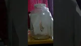 telekinesis 2 2023 07 19