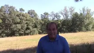 The Rapture the redemption of our bodies!