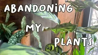 I'M LEAVING MY PLANTS FOR A MONTH | How I Prepped My Plants to Be Alone with DIY Watering Systems 💦