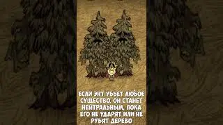 3 ФАКТА О ЭНТЕ В ДСТ l  