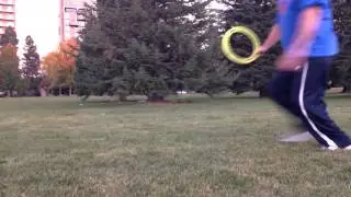 aerobee champ
