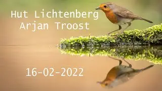 Vogelhut Lichtenberg Arjan Troost - 2022