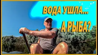 ВОДА УШЛА... А РЫБА?? ПОДВОДНАЯ ОХОТА 2021
