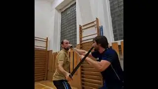 European swordfight combat #26 #shorts #skills #stage #action #martialarts