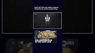 Where Are The Cave Lions?