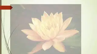 Сочинение
