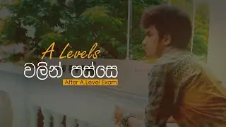 After A/L Exam | A Level වලින් පස්සෙ | ආයුබෝවන් 2024