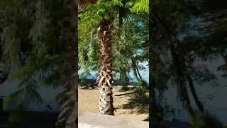 Lake Chapala waterfront Ajijic