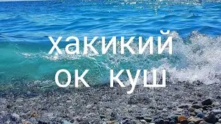 кора денгиз ва ок куш