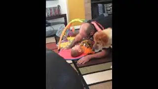 Talking to daddy