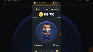 Hamster Kombat. Airdrop 6 milhões.