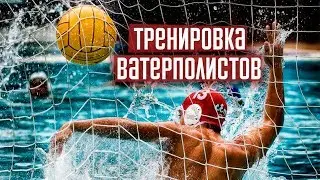 Тренировка ватерполистов. Водное поло