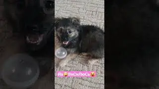 Йа😝ВиСиЛюСь😋 