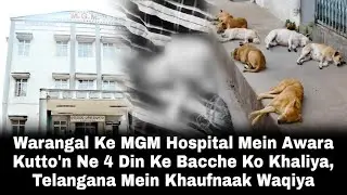 Warangal Ke MGM Hospital Mein Awara Kutto'n Ne 4 Din Ke Bache Ko Khaliya, Khaufnaak Waqiya