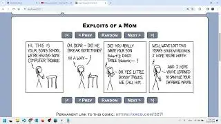 Flask MySQL video 3 - using user-submitted data in a query