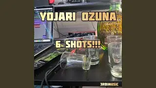 6 shots