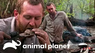 Andy consegue se alimentar graças à tecnologia | Sobrevivente Geek | Animal Planet Brasil