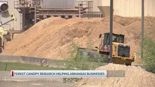 Arkansas researcher using AI to map and manage forests, technology expected to add jobs