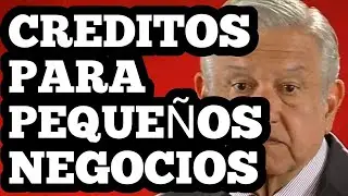 @elpumapolitico CRÉDITOS PARA PEQUEÑOS NEGOCIOS | TANDAS PARA EL BIENESTAR