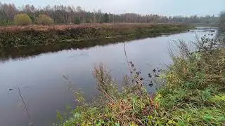 Река Уводь. ч.3. Октябрь 2024
