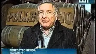RAI 1.flv