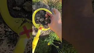 Golden snake grabbed my finger
