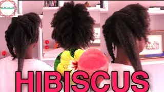 Hibiscus flower for baldness and growing healthy long natural hair| Grow long 4c natural hair