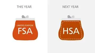 FSA Limited Purpose