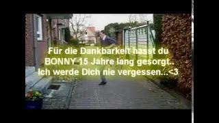 Danke Bonny