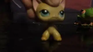 Lps Giveaway Video (OPEN)♥