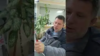 Паша смотрит всё! МТС БЕЗЛИМИТ!
