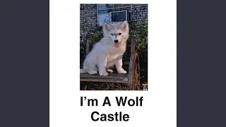 I'm a Wolf