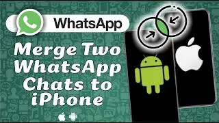 How to Merge Two WhatsApp Backups on iPhone (Android & iPhone Chats)