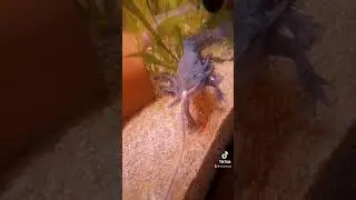 Problème de poids 😅 