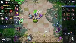 Auto Chess Rank Game Play (ROOK RANK)