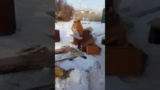 Renewable energy source: firewood from the garbage dump