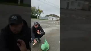 Ждём концерт Шакиры