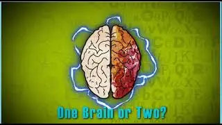 Action 10. Module 6. One Brain or Two?