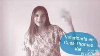 Desparasitación en perros y gatos