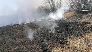 ПОЖАР ЖЕСТЬ, СПАСЕНИЕ ШАЛАША