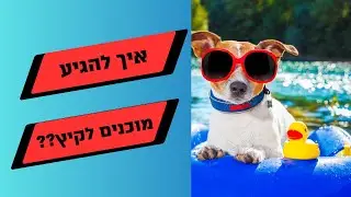 איך להגיע חטובים לקיץ?? (גם אם לא עשיתם ספורט בחיים!)